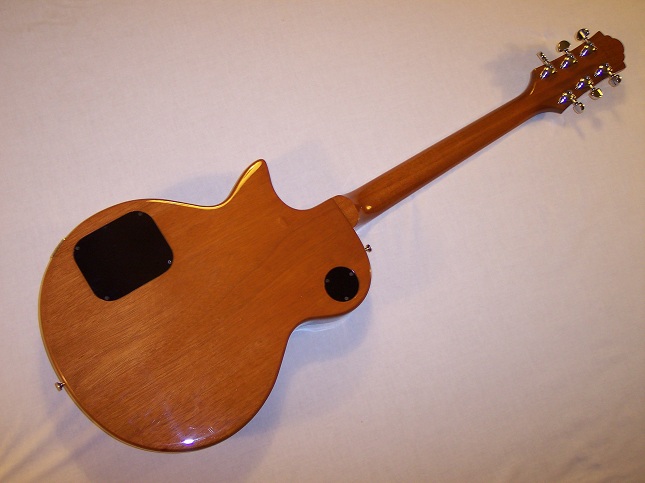 Bluesbird Picture 2
